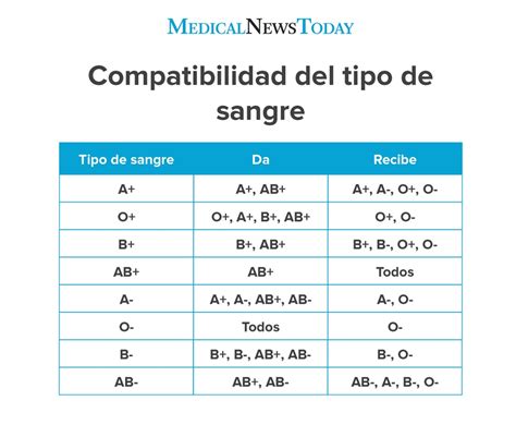 Los grupos sanguíneos y su significado