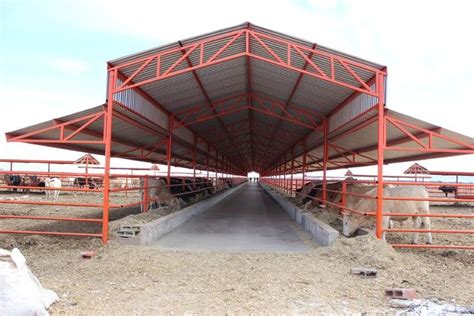 Pin by Yusuf Sule on CATTLE SHED | Farm shed, Cattle barn, Cow house