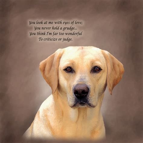 Golden Retriever Quotes And Sayings. QuotesGram