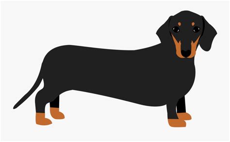 transparent dachshund free use clipart 10 free Cliparts | Download images on Clipground 2024