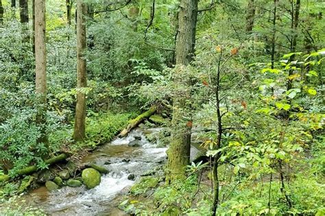 Cosby Campground is quiet! (September!) + things to do nearby in Tennessee ⛰🐻 Smoky Mountains ...