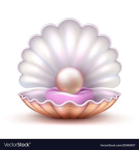 Open oyster sea shell with valuable pearl isolated. Realistic 3d vector illustration. Pearl and ...