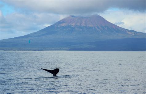 Sitka Alaska's Top Attractions - Culture, Rainforests and Boat Tours