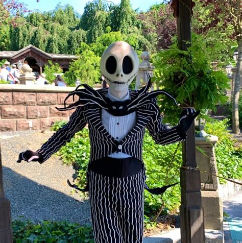 PHOTOS, VIDEO: Jack Skellington Selfie Spot Meet and Greet Outside ...