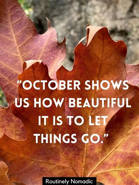 Funny October Quotes: 95 Funny October Sayings for 2023 | Routinely Nomadic