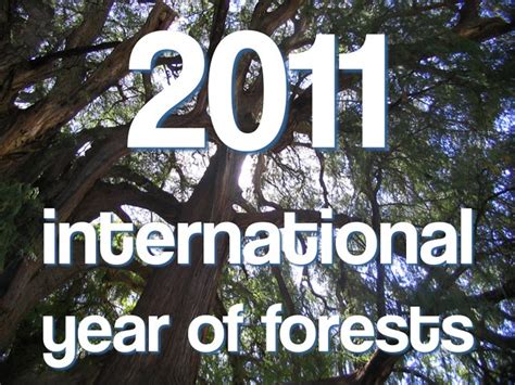 international year of forests (2011) | 2011 • international … | Flickr