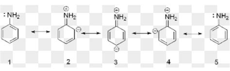 draw the resonance structure of aniline - Brainly.in