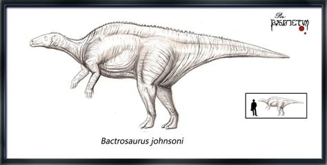 Bactrosaurus Pictures & Facts - The Dinosaur Database