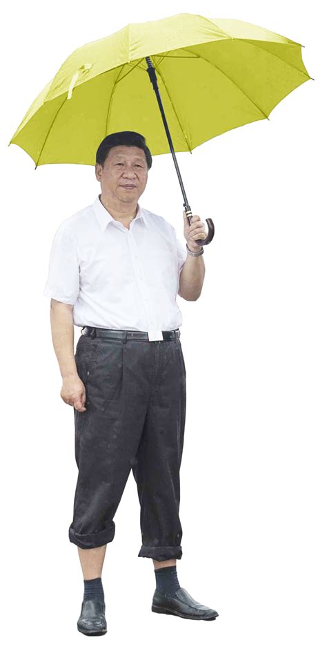 Create Your Own Xi Jinping Photoshop Masterpiece