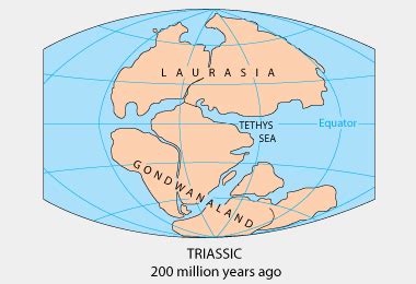 Pangea Supercontinent - Pangaea Supercontinent