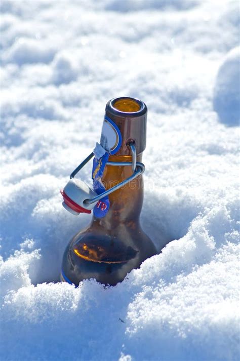 Beer bottle in snow stock photo. Image of beer, beverage - 29165128