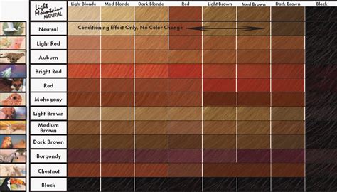 Auburn Red Hair Color Chart Satisfying | Hair Notebook | Pinterest