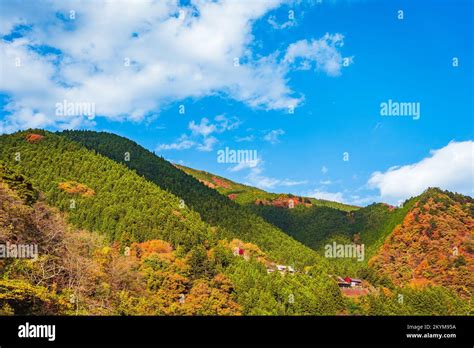 Autumn in lake Okutama, Japan Stock Photo - Alamy