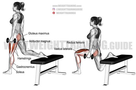 Dumbbell one-leg split squat exercise instructions and video