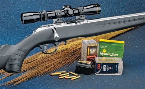 Review: Ruger American Rimfire Stainless - Rifle Shooter