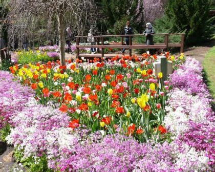 Araluen Botanic Park | GardensOnline