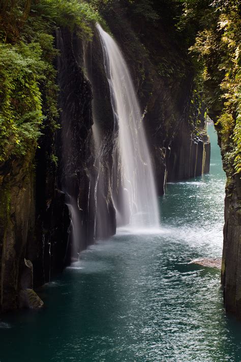 This is a Nature blog. — Miyazaki, Japan (by Daniel Byron)