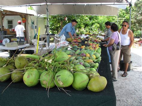 Pine Island Fruit Market for Home Grown Tropical Fruit | Blog The Beach