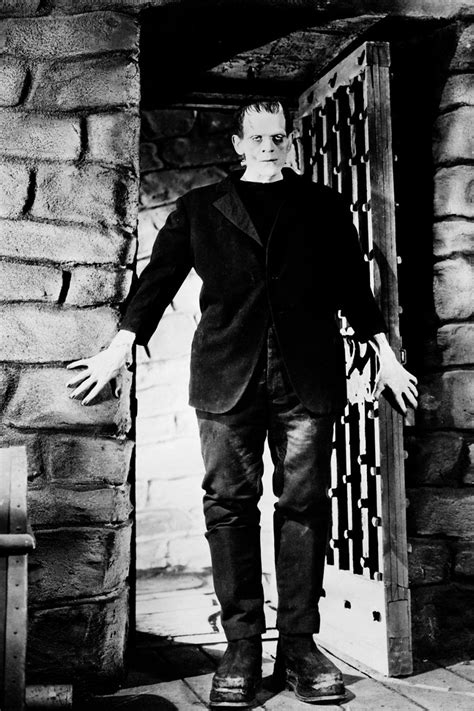 Frankenstein de James Whale. (1931) Reseña - Séptimo & Noveno Arte