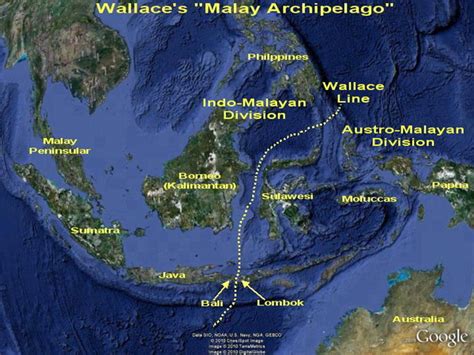 Geografika Nusantara: Indonesia's Wallace Line and an Introduction to Biogeography