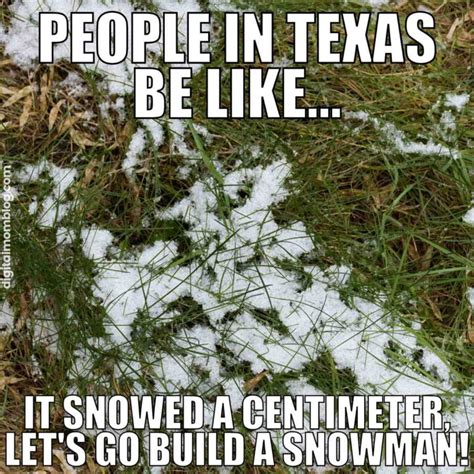 Texas Winter Memes: When The Lone Star State Gets Frosty!