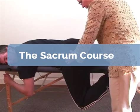 The Sacrum Course | OMM Education Series