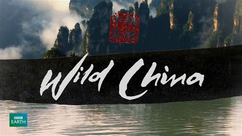 Download Wild China Torrent | 1337x