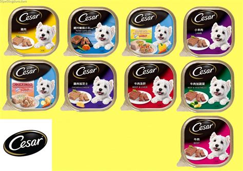 CESAR Dog Wet Food 100G