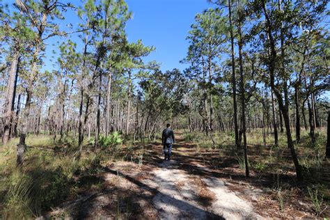 Silver Springs State Park Hiking Trails | Outdoor Project