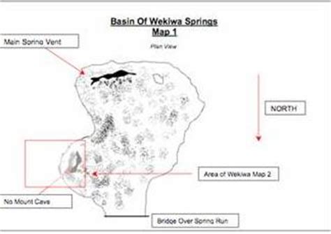 Wekiwa - Cambrian Foundation