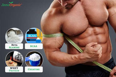 Supplements for Muscle Growth| Supplements