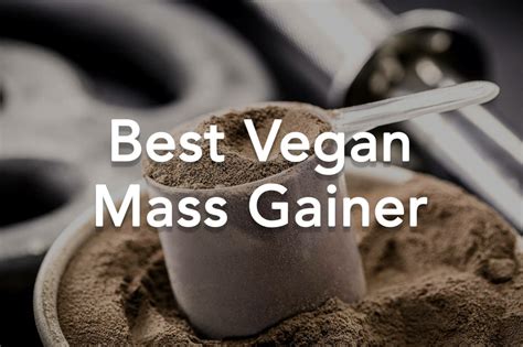 The 8 Best Vegan Mass Gainers in 2023 to Gain Muscle & Weight - Fit Vegan Guide