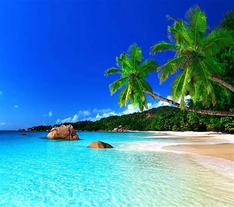 Tropical Beach, look, nice, HD wallpaper | Peakpx