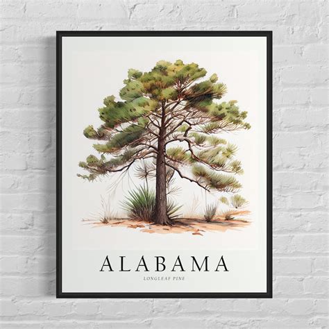 Alabama State Tree Art Print, Alabama Longleaf Pine Tree Wall Art, State Tree Symbol Artwork - Etsy