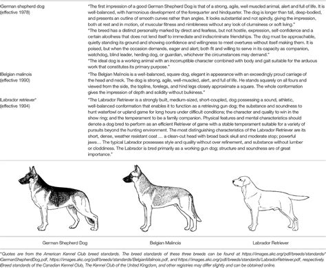 Frontiers | Working Dog Structure: Evaluation and Relationship to Function | Veterinary Science