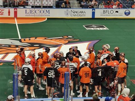 Buffalo Bandits announce 2023-24 roster | Buffalo Scoop