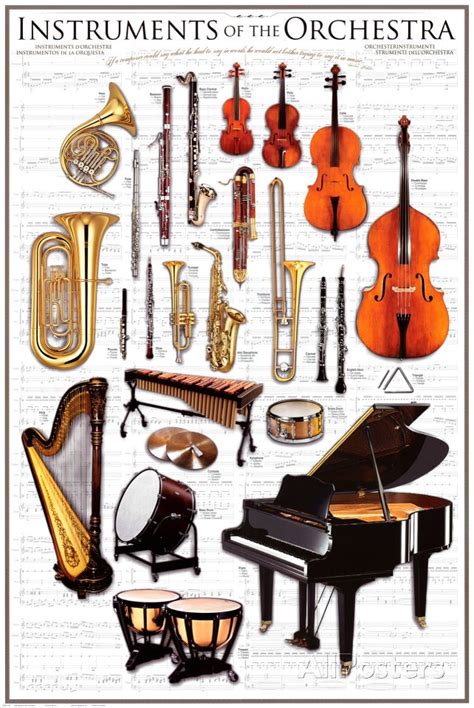 'Instruments Symphony Orchestra' Print | AllPosters.com | Instruments of the orchestra ...