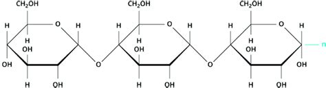 Starch Structure Diagram