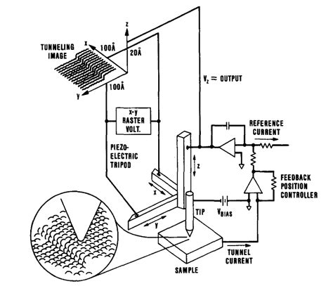 4: Schematic diagram of a typical scanning tunneling microscope (STM).... | Download Scientific ...