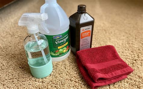 Homemade Carpet Cleaner (Just 2 Ingredients!)