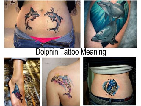 Dolphin Tattoo Meaning: history, photos, sketches and facts about drawing