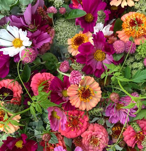 https://www.flourishflowerfarm.com/blog/2018/8/19/favorite-zinnias ...