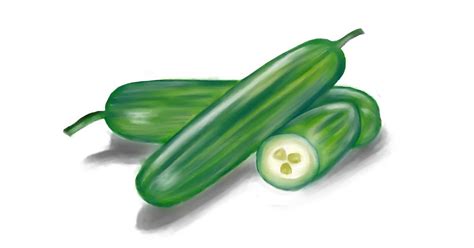 Drawing of Cucumber by Jan - Drawize Gallery!