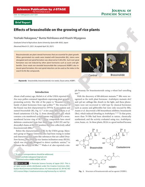 (PDF) Effects of brassinolide on the growing of rice plants