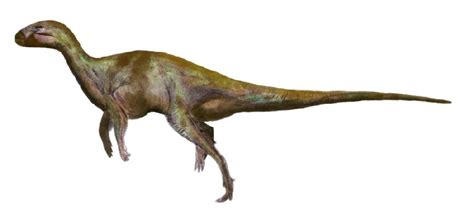 Anabisetia Pictures & Facts - The Dinosaur Database