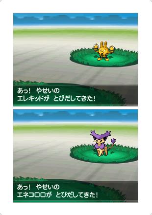 Pokémon Black 2 & White 2: Version Differences | PokéJungle