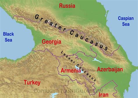 Types: Map of Caucasus Mountains - Ornamental Plant Information from ...