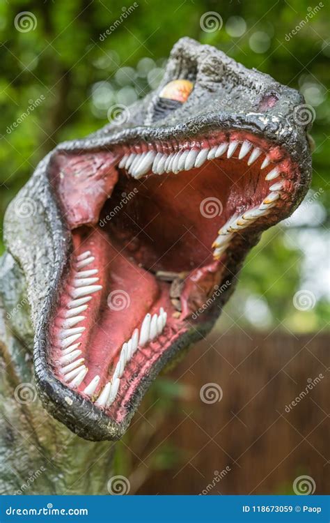 Sharp Teeth Of A Velociraptor Dinosaur Stock Photo | CartoonDealer.com #118673059