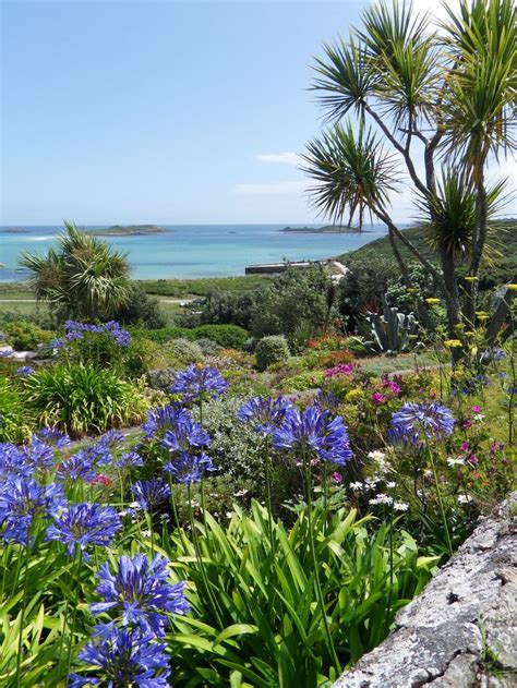 St.Martin's Flowers | Isles of scilly, England, Coastal gardens