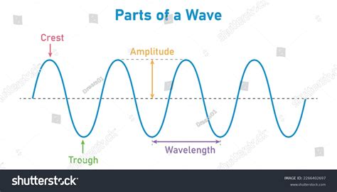 Parts Transverse Wave Physics Basic Properties Stock Vector (Royalty ...